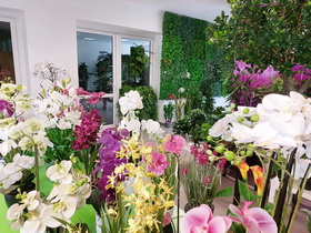 showromm STUDIOGREEN